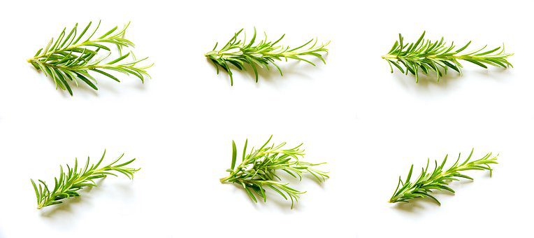 Be More Alert with Rosemary