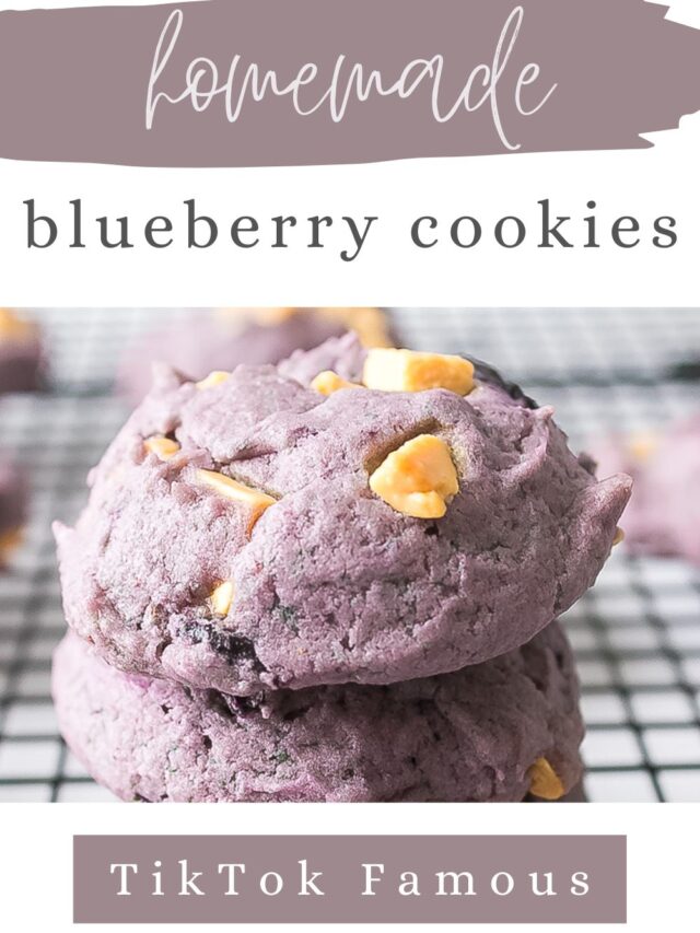 How to Make Homemade Blueberry Cookies